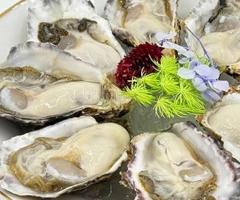 Best Japanese Oysters in Dubai | Luxury Food