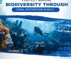 Protect Marine Biodiversity Through Coral Restoration in Bali!