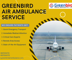 Book Air Ambulance Service in Allahabad For Better Shifting