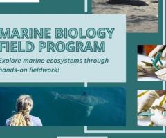 Marine Biology Field Program - 1