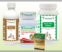 Natural Cure For DCM In Dogs - DCM Care Pack By Planet Ayurveda