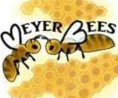 Find Premium Beekeeper Suits for Sale at Meyer Bees