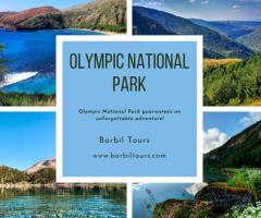 Explore Majestic Olympic National Park