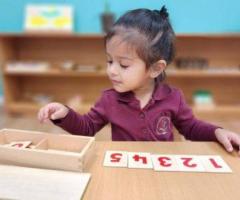 Montessori Toddler Curriculum: Fostering Early Childhood Development