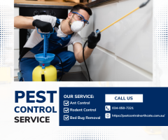 Top-Rated Pest Control Northcote Experts for Your Home