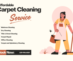 Carpet Cleaning Doncaster: Your Path to a Healthier, Cleaner Home