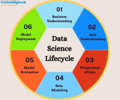 Data science services