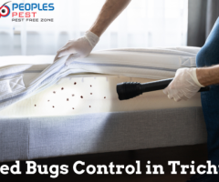 Bed bugs Pest Control in Trichy