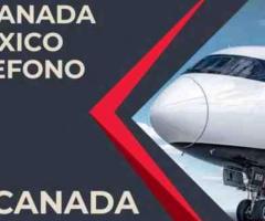 ¿Cómo Contactar a Air Canada México por Teléfono?