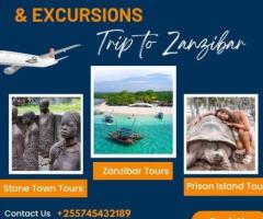 Tour Operator In Zanzibar