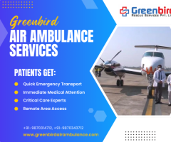 Book Air Ambulance Service in Patna With Best Care And Support