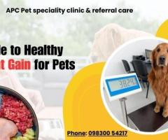 APC Pet Clinic Best Veterinary Clinic In Kolkata