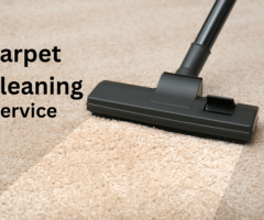 Fresh & Clean Carpets in Rosebud – Call Now