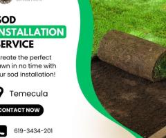 Sod Installation Service in Temecula