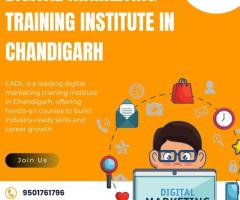 Digital Marketing Training Institute In Chandigarh