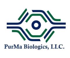 F12 Medium For Specific Uses In Cell Culture