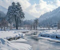 Embark on Unforgettable Kashmir Holidays with NatureWings!