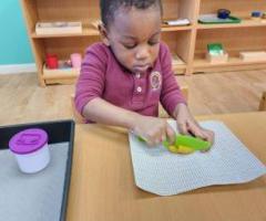 Montessori Toddler Program: Fostering Independence and Growth