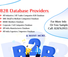 B2B Database Provider Company in India