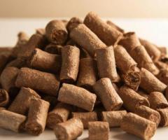 Buy Premium Biomass Pellets from Ecostan Biofuel