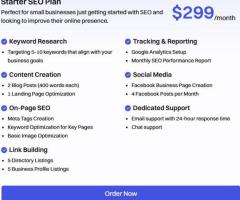 ROI-Focused SEO Designed for Small Businesses