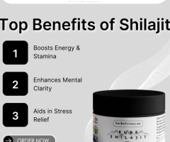 Recharge Naturally with Himalayan Shilajit – Your Wellness Ally