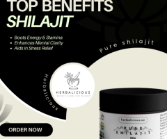 Revive Your Energy with Pure Himalayan Shilajit