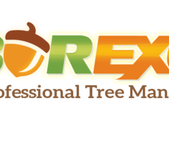 Arbor Excel, LLC