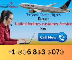 How Does American Airlines have a 24-hour customer service line?[+1(806)-853-5070]