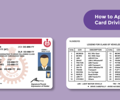 How to Get Chip Driving Licence: A Guide by Quickinsure