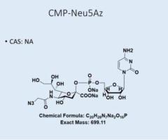 Glycodepot: Your Partner in Custom Glycan Synthesis for Innovative Research