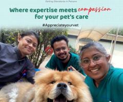 Pet Care Center In Gurgoan | CGS Hospital - 1