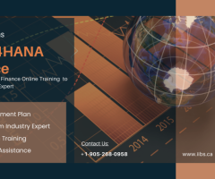 Become an SAP S/4HANA Finance Specialist in Just 3 Months!