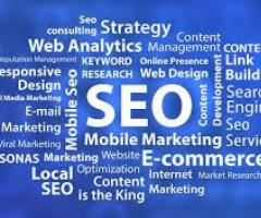 Professional SEO Services for Driving Traffic, Leads, & Sales