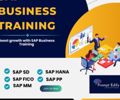 SAP Business Training & Certification in Tanzania at Prompt Edify