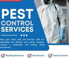 Housefly Control in Trichy: Say Goodbye to Flies!-  Peoples Pest