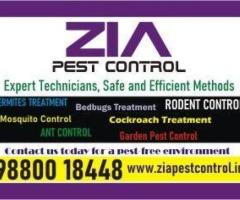 Zia Pest control | General pest control services in Bangalore | Termite | 5016