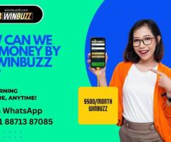 How Can We Win Money By The Winbuzz App?