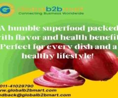 Connect with Top Red Onion Exporters at GlobalB2BMart