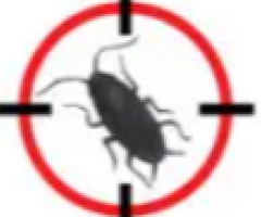 Customized and Affordable Pest Control Services in Dubai