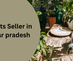 The Flourishing Business of Plant Selling in Uttar Pradesh: A Guide for Aspiring Entrepreneurs