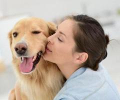 Domestic Pet Transport Service | Reliable Care by DoggoneTaxi