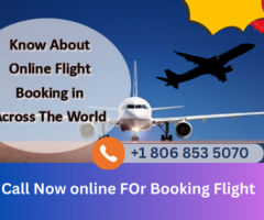 https://www.brownstoner.com/forum/general-discussion/ayudacomo-llamar-a-turkish-airlines-check-in/