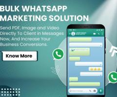 Best Bulk SMS Provider in the Market