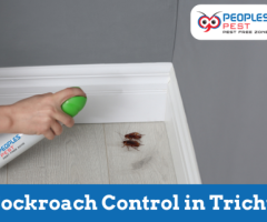 Cockroach Pest Control Service in Trichy