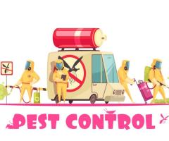 Termicide Pest Management Services in Gold Coast.