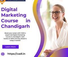 Digital Marketing Course In Chandigarh