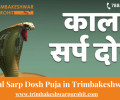 Kaal Sarp Dosh Puja in Trimbakeshwar | Kaalsarp Shanti Puja Trimbakeshwar