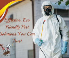 Pest Control Mernda: Reliable and Eco-Friendly Solutions