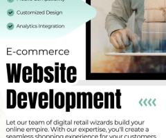 Leading eCommerce Company | Idiosys Tech